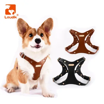 Loudik Изготовленная на заказ Лазерная Идентификационная бирка DIY, Именная Шлейка для собак, Регулируемый Кожаный Поводок для домашних животных малого и среднего размера, аксессуары для прогулок на открытом воздухе 4