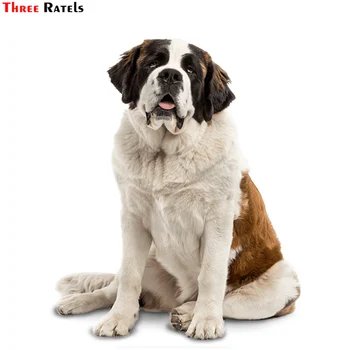 Three Ratels TRL537 # 12x14,5 см Забавные наклейки для автомобиля с собакой Сенбернаром 1