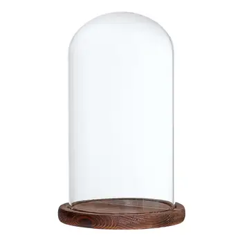 Декоративный прозрачный клош-колокольчик, террариум для суккулентов, контейнер для цветов 5