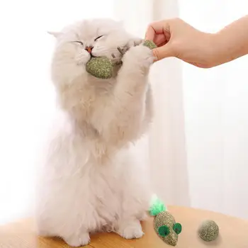 Интерактивная игра-тизер, жевательная игрушка, домашняя кошка, котенок, рыбка Мататаби, шарик в форме мыши 1