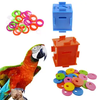 Коробка для монет с разделением цветов Bird Parrot, развивающие обучающие игрушки-головоломки для африканских серых попугаев 5