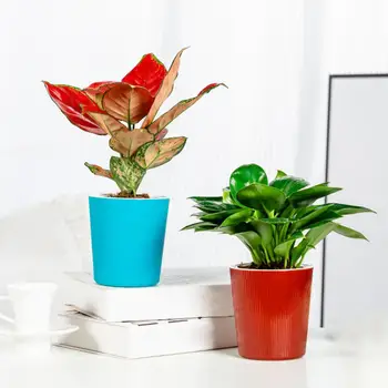 Садовый горшок-кашпо Многоцветный контейнер для растений в чашках для сада и домашнего декора 1